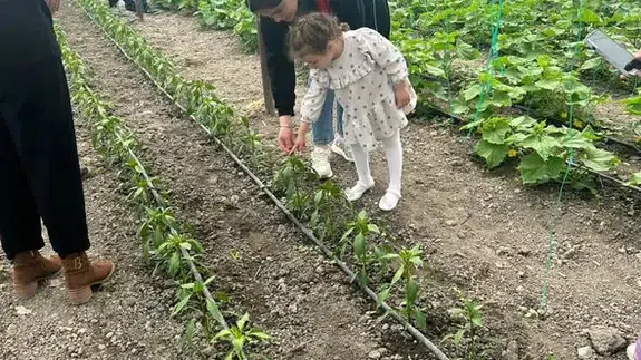 Merzifon’da Serada Uygulamalı Eğitim