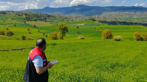 Amasya’da Yem Bitkisi Kontrolleri Sürüyor