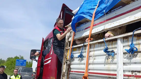 Amasya’da Kurbanlık Sevklerine Sıkı Denetim!
