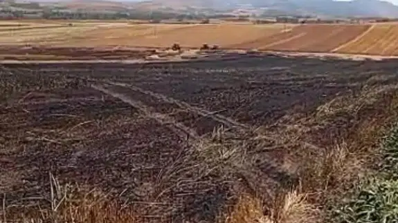 Doluca Köyü'nde Arazi Yangını! Ekili Alan Kül Oldu