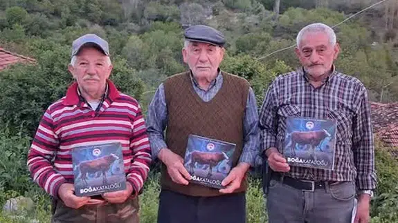 Amasya DSYB 2026 Yılı Boğa Kataloğu Üreticilere Dağıtılmaya Başlandı