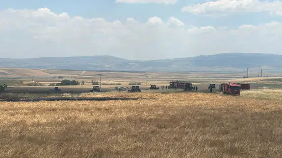 Merzifon’da Ekili Arazide Yangın Paniği! İtfaiye Faciayı Önledi