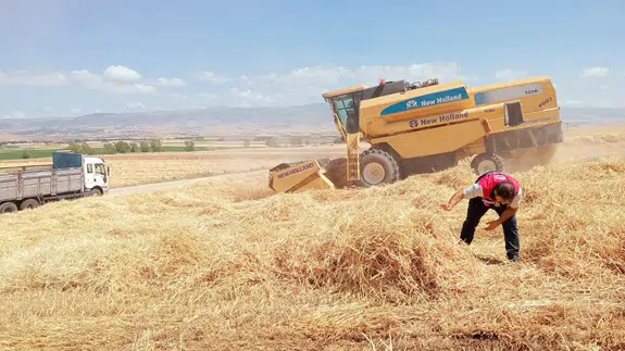 Merzifon'da Biçerdöver Denetimleri Sürüyor