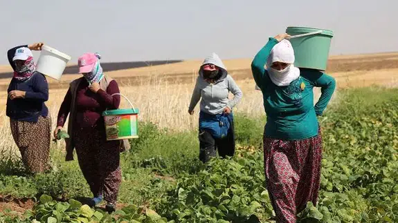 Merzifon’da Alın Terinin Bedeli Belli Oldu