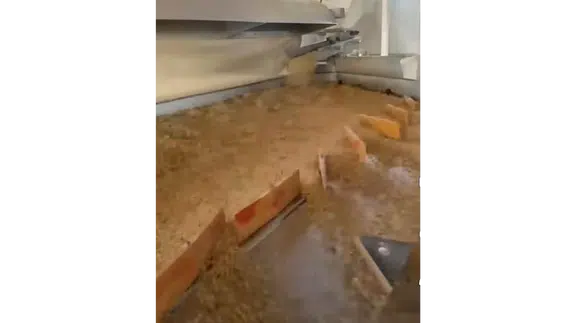 Merzifon'da Tohum Eleme Tesisi Üreticilerin Hizmetinde!