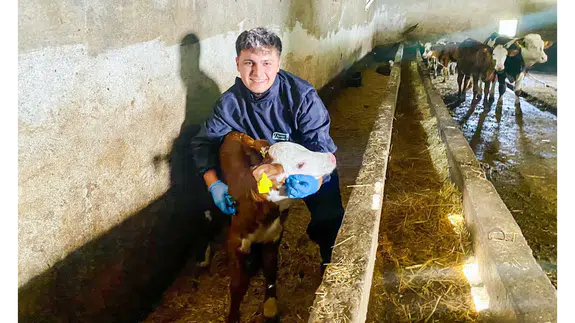 Amasya DSYB’den Küpeleme Çalışması