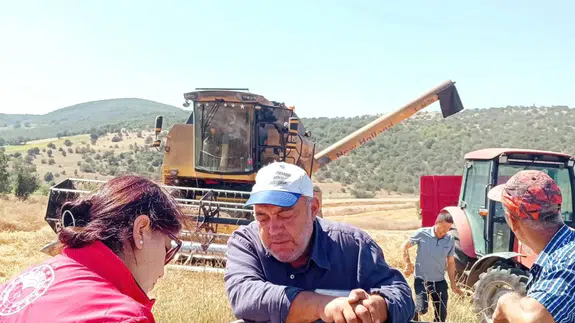 Merzifon’da Biçerdöverlere Sıkı Kontrol