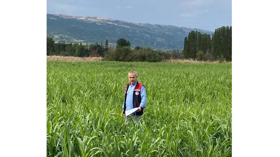 Amasya’da 460 Dekarlık Alanda Hasat Başladı