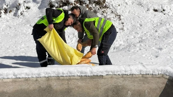 Merzifon’da Doğaya Sahip Çıkan Çalışma