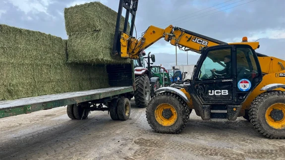 Amasya DSYB’den Üreticiye Destek