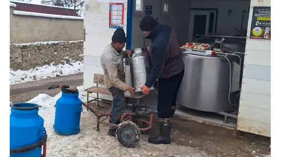 Amasya DSYB Gümüştepe’de Kaliteli Süt Üretimi