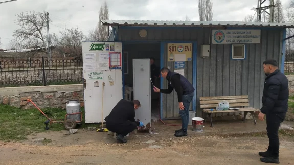 Amasya’da Süt Evlerinde Yoğun Çalışma