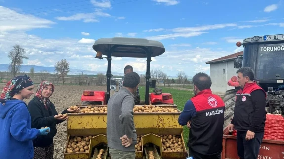 Merzifon’da Tohumluklar Mercek Altında