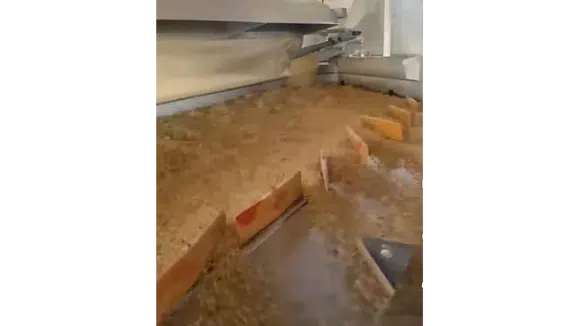 Merzifon'da Tohum Eleme Tesisi Üreticilerin Hizmetinde!