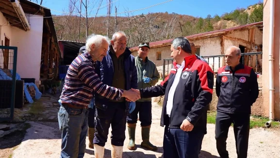 Amasya’da Hayvancılığa Yakın Takip