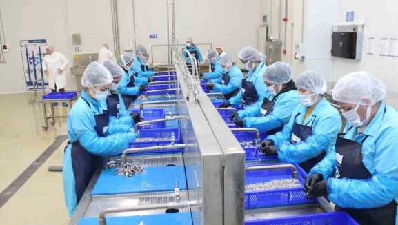 Kadın emeğiyle yükselen değer