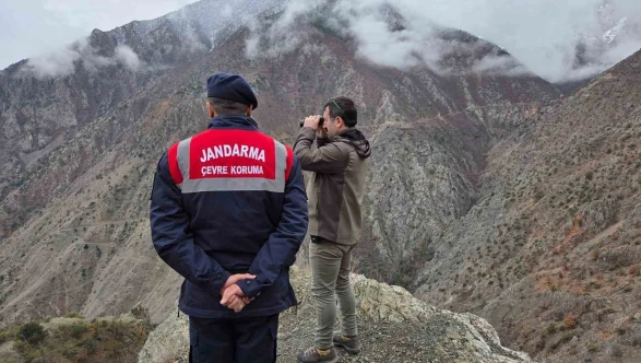Kaçak ve usulsüz avcılığa yönelik denetimler sürüyor