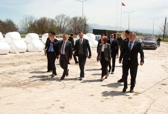 Amasya DSYB'de İlçe Kaymakamlarının Katılımıyla Hayvancılık Değerlendirme Toplantısı Gerçekleştirildi