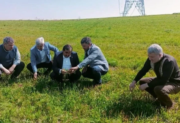 AK Partili Heyet, Zirai Dondan Etkilenen Köyleri Ziyaret Etti