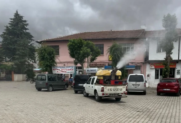 Merzifon’un Köylerinde Haşereyle Mücadele Sürüyor