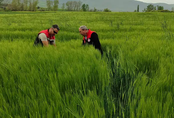 Merzifon’da Hasar Tespiti Başladı