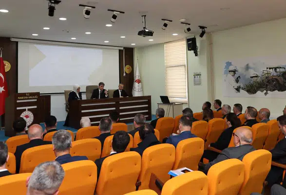 Amasya’da Sahipsiz Hayvanlar Masaya Yatırıldı