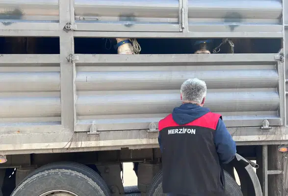 Merzifon’da Kurban Bayramı Öncesi Sıkı Denetim!