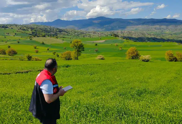 Amasya’da Yem Bitkisi Kontrolleri Sürüyor