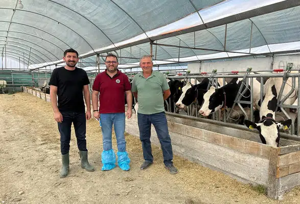 Amasya'da Hayvancılığa Proje Desteği