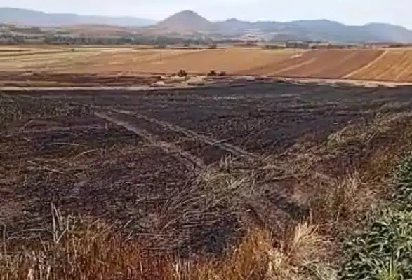 Doluca Köyü'nde Arazi Yangını! Ekili Alan Kül Oldu