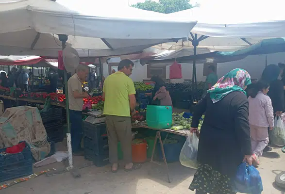 Merzifon Pazarında Fiyatlar Sabit Kaldı! Gözler Yerli Ürünlerdeki İndirime Çevrildi