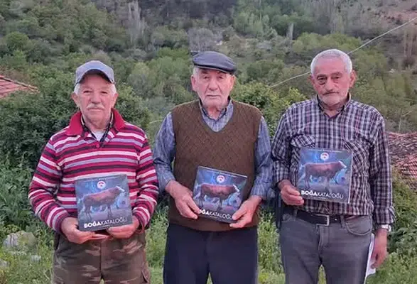Amasya DSYB 2026 Yılı Boğa Kataloğu Üreticilere Dağıtılmaya Başlandı