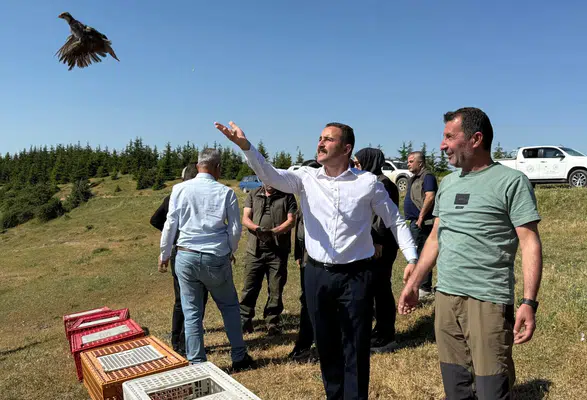 Merzifon’da Keklikler Doğayla Buluştu
