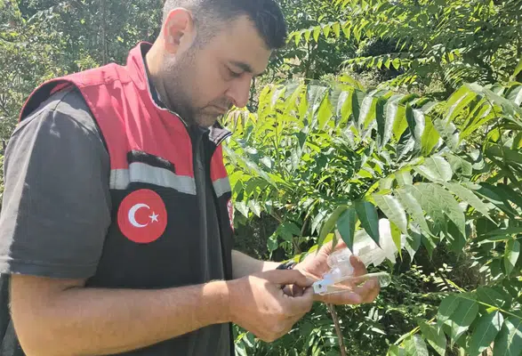 Amasya Tarımından Çevreci Mücadele Hamlesi
