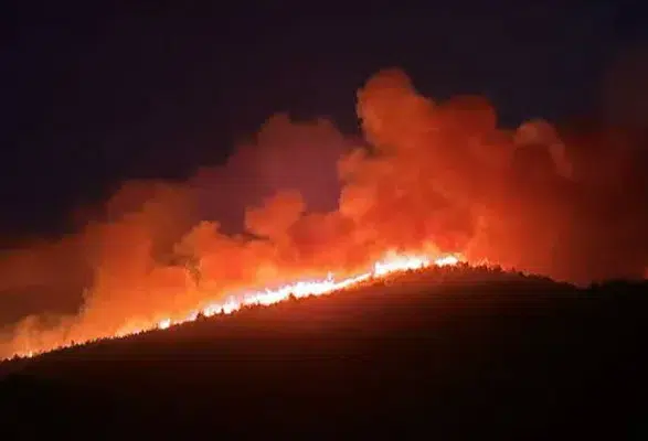 Ünlülerin Yazlıkları Yangının Ortasında Kaldı