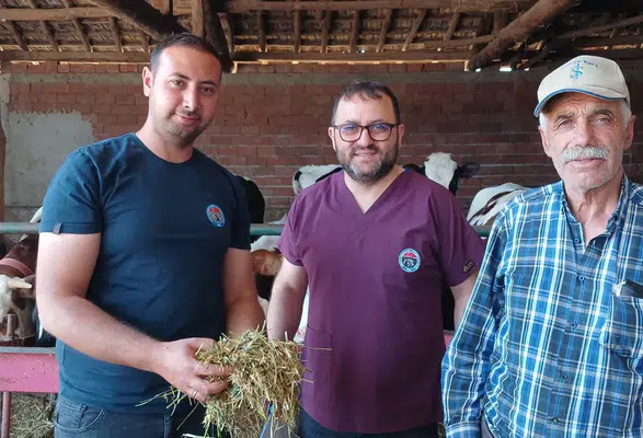 Sarıköy'de Hayvancılığa Güçlü Destek!