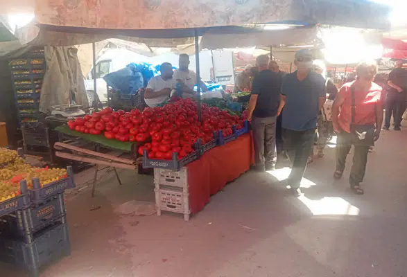 Merzifon Pazarı'nda Fiyatlar Geriledi! Yerli Ürünler Tezgâhları Doldurdu