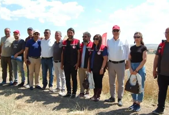 Merzifon'da Tarla Günü Düzenlendi! Yeni Buğday Çeşidi Üreticiden Tam Not Aldı