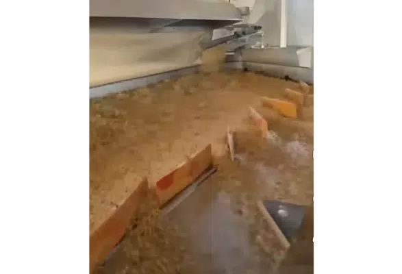 Merzifon'da Tohum Eleme Tesisi Üreticilerin Hizmetinde!