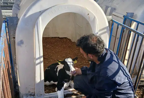Amasya DSYB’den Anlık Kayıt Hamlesi!