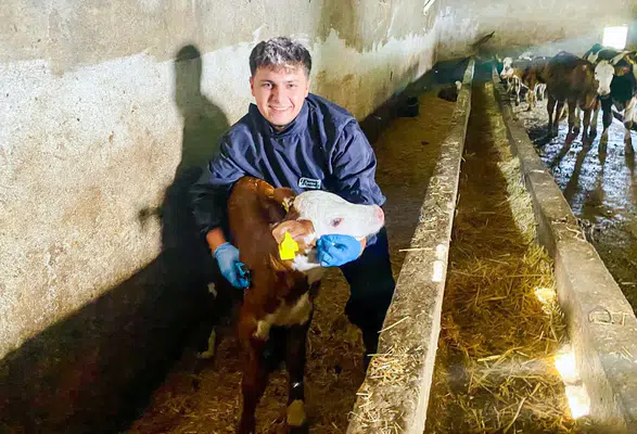 Amasya DSYB’den Küpeleme Çalışması