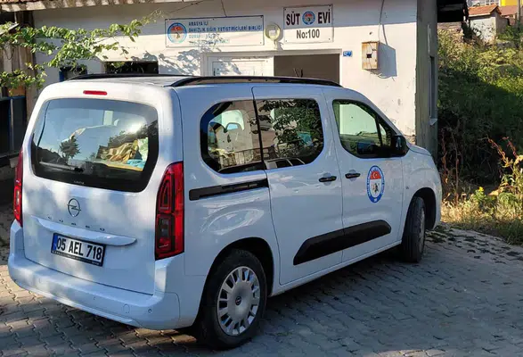 Amasya’nın Zirvesinde Süt Mesaisi
