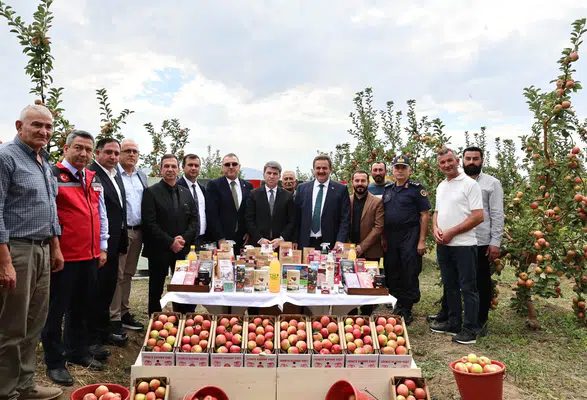 Amasya’nın Misketinde İlk Hasat!