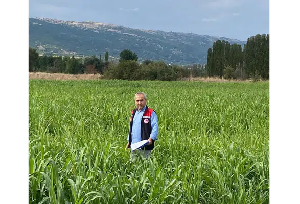 Amasya’da 460 Dekarlık Alanda Hasat Başladı