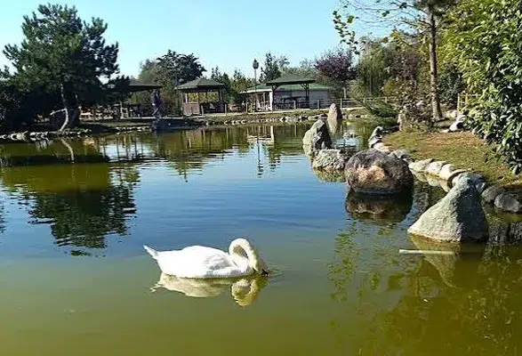 Yedikır Suluova’da mı, Merzifon’da mı Parlar?