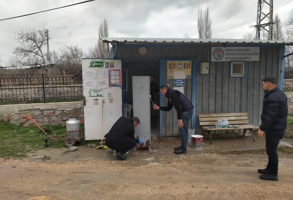 Amasya’da Süt Evlerinde Yoğun Çalışma