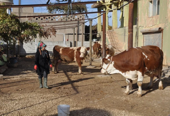 Kırsala Dönüş Başlıyor: Gençlere Maaşlı Üretim Modeli