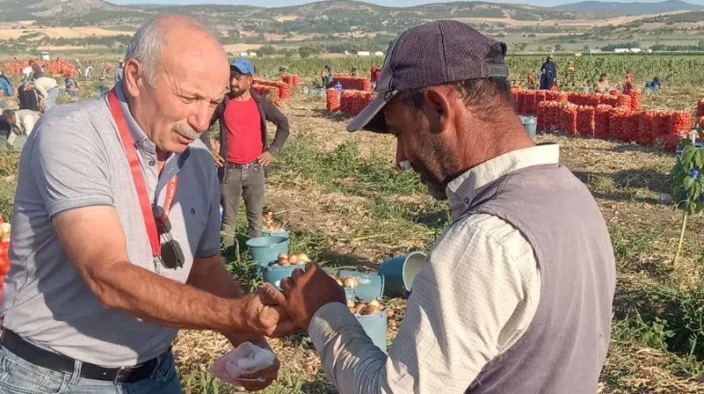 Mevsimlik Tarım İşçilerine Yerinde Sağlık Hizmeti
