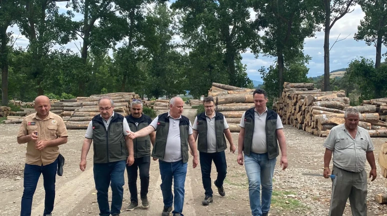 Bafra’da Orman Emvali Depolarında Sıkı Denetim: Üretimde Kalite ve Katma Değer Vurgusu