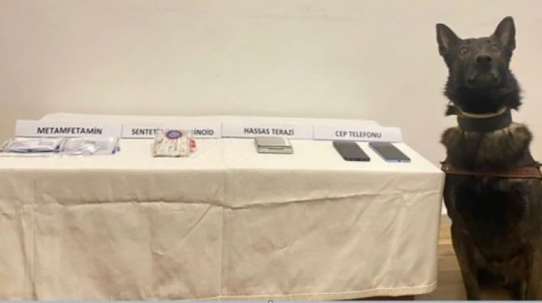 Jandarmadan uyuşturucu operasyonu